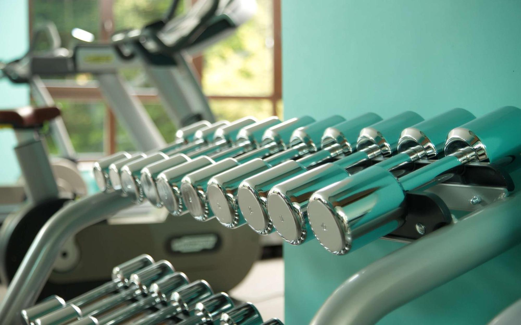 Hotel Radisson Blu Plaza Delhi Airport Nuova Delhi Esterno foto The photo shows a row of shiny dumbbells arranged neatly on a rack in a gym or fitness center. The dumbbells are made of metal and have a polished surface, reflecting the light. In the background, there appears to be fitness equipment, possibly a tre